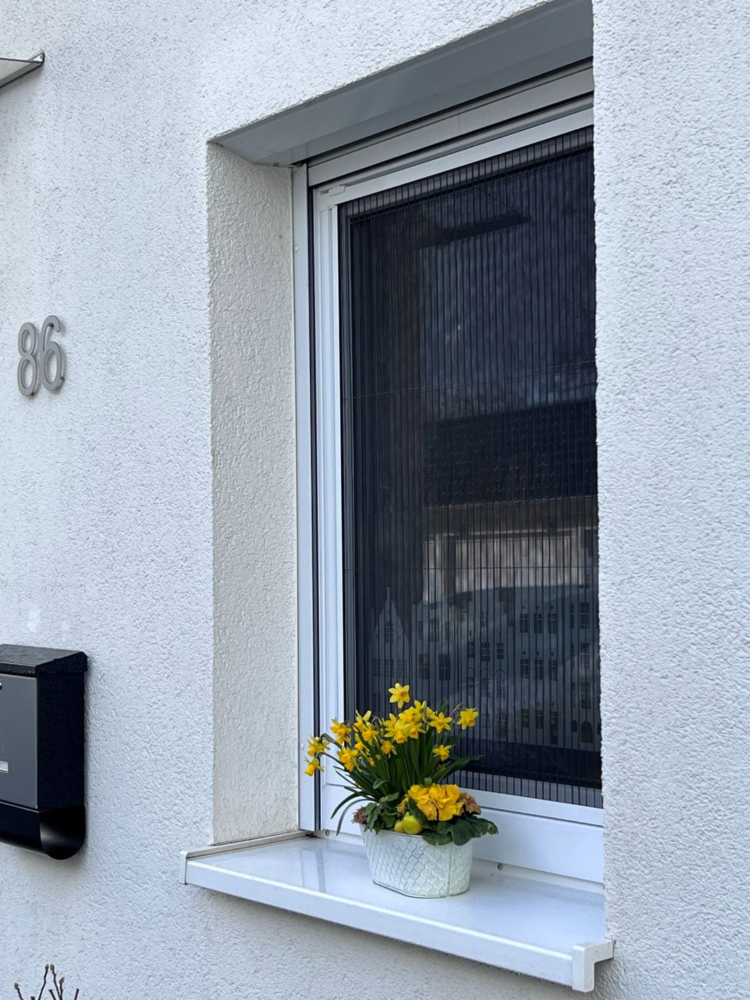 Insektenschutz Fenster und Türen