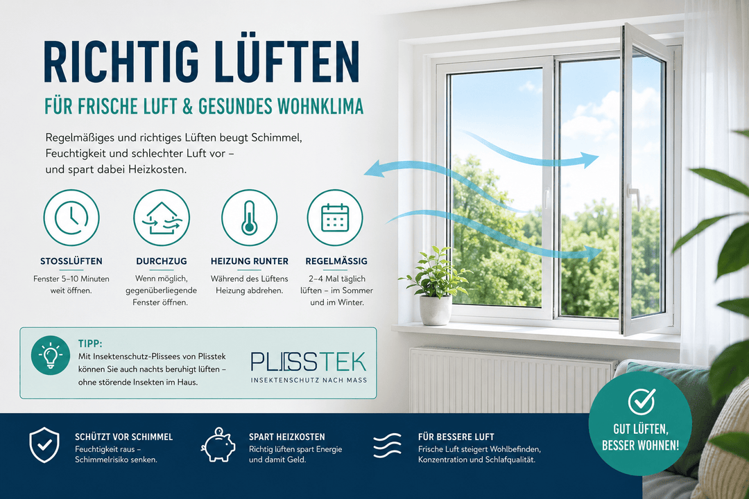 Richtig lüften: So vermeiden Sie Schimmel und sparen Heizkosten - Plisstek